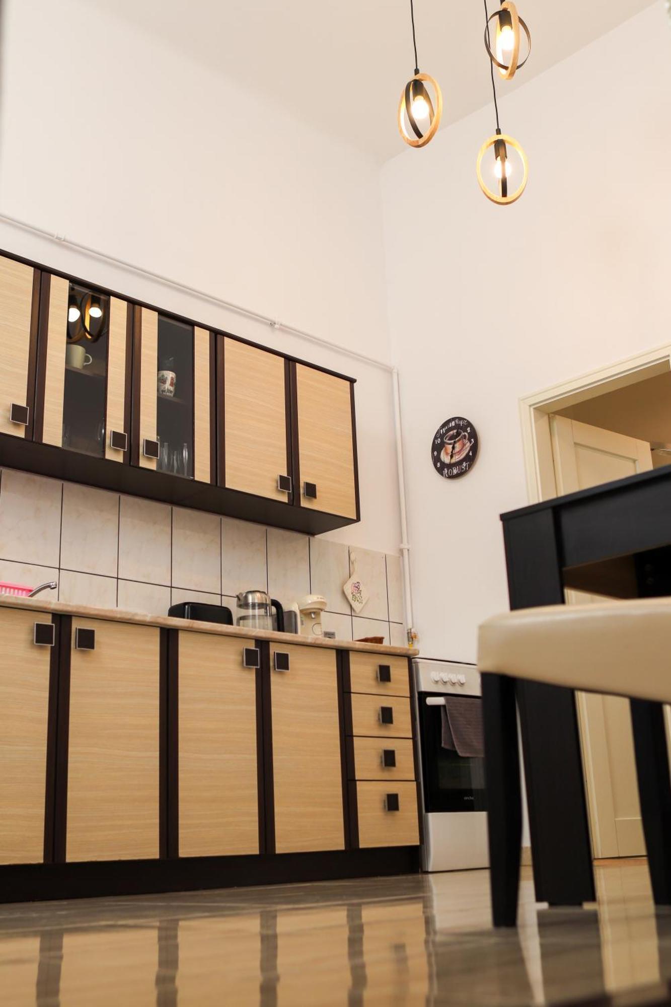 Neuhausz Residenz Ultra-Central Apartment Timişoara Eksteriør billede